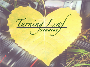 Turning-Leaf-Studios