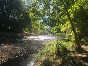 beauty-in-the-river